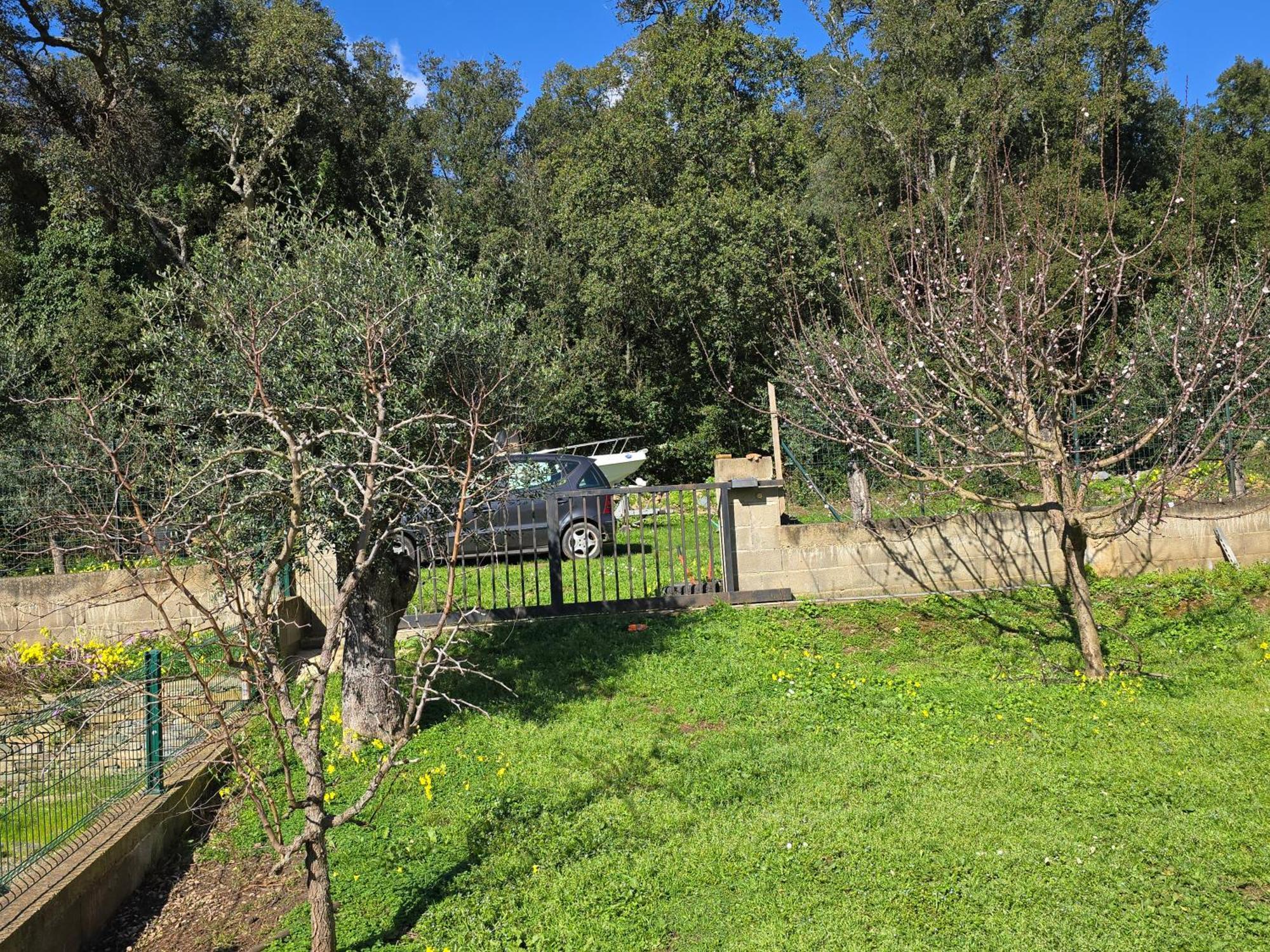 Maison De Village Pietracorbara Экстерьер фото
